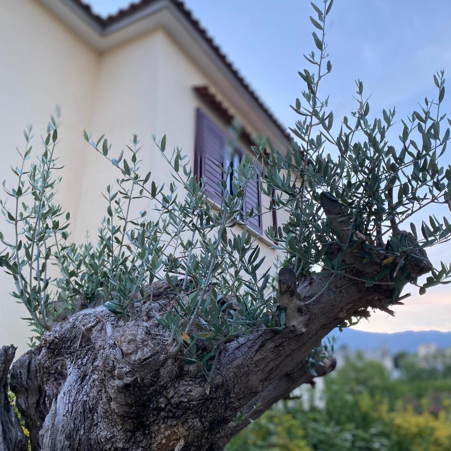 Villa Manzo Relais -Pompei Vesuvius Boscotrecase المظهر الخارجي الصورة